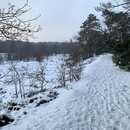 Vakantiewoning Heidebos In Het Nationaal Park Hoge Kempen Opglabbeek Exterior foto