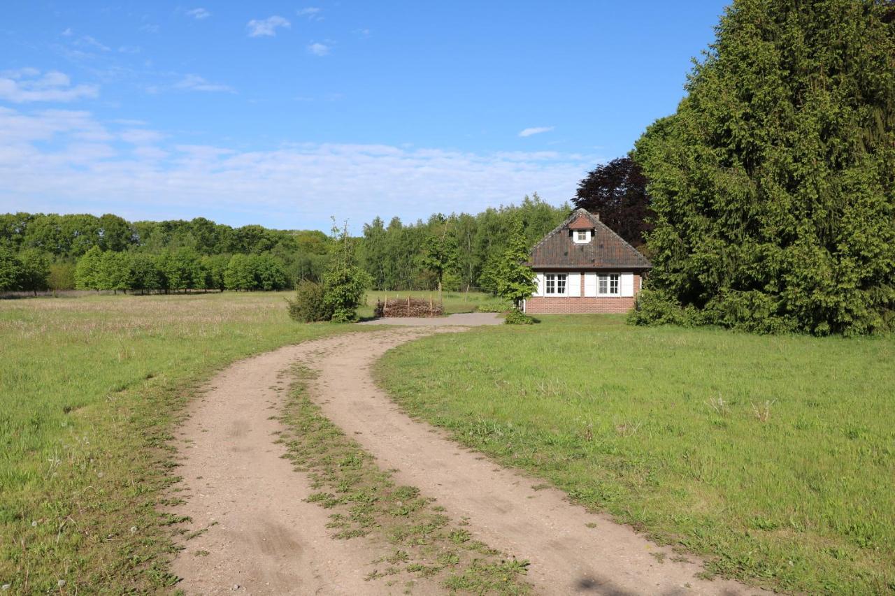 Vakantiewoning Heidebos In Het Nationaal Park Hoge Kempen Opglabbeek Exterior foto