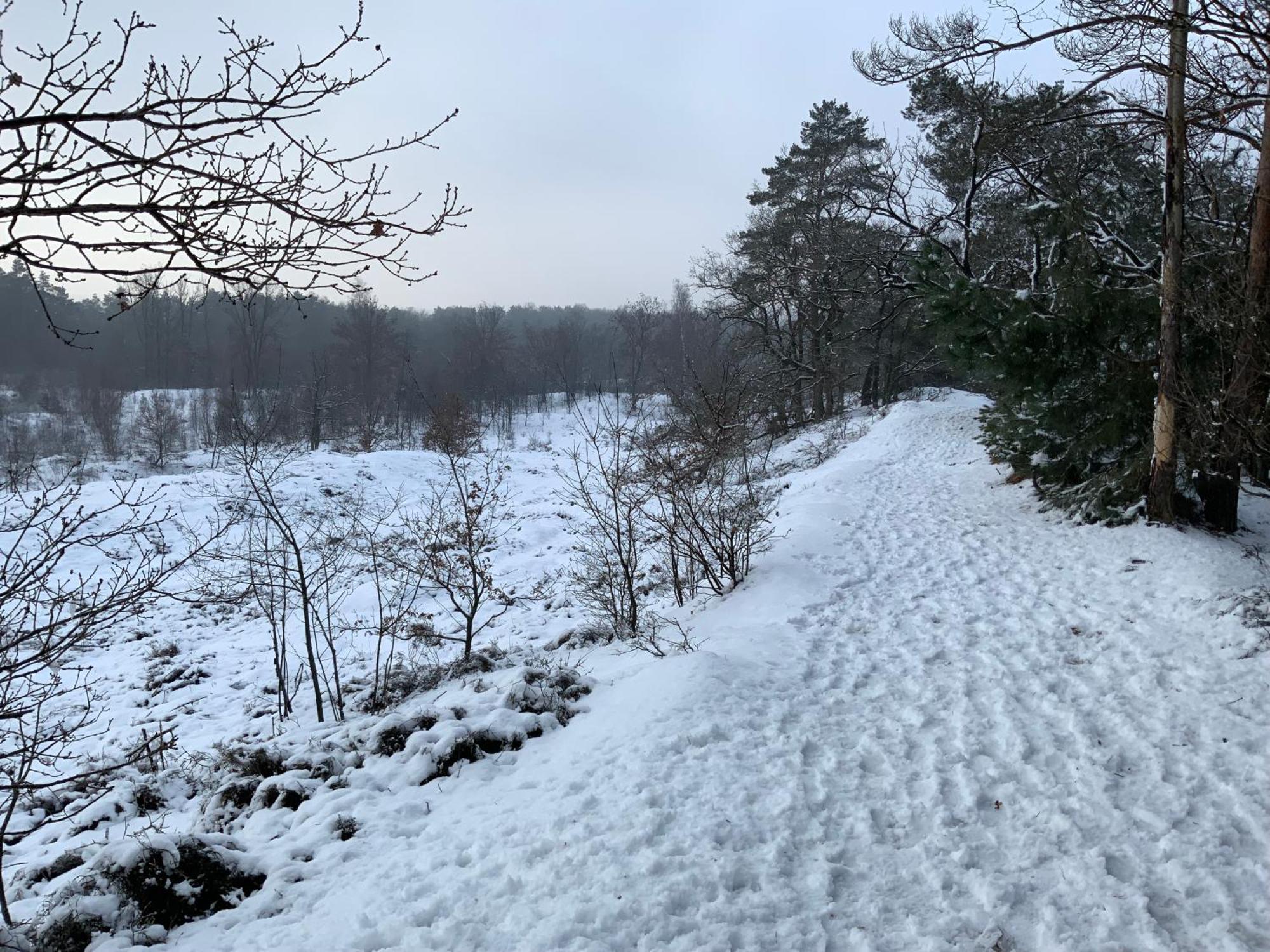 Vakantiewoning Heidebos In Het Nationaal Park Hoge Kempen Opglabbeek Exterior foto